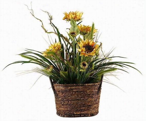 Sunflowers With Mixed Grasses - 30""hx30"&quotdiameter, Brown