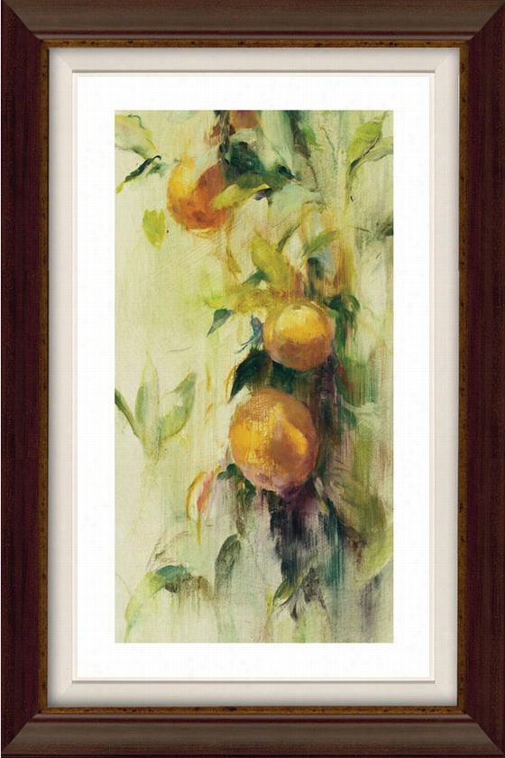 Golden Fruit Study Iii Framed Wall Creation Of Beauty - Iii, Flat Antique Wal/gold