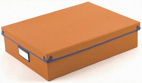 Hadley Document Box - 3.5""hx14""wx11""d, Mango/blue