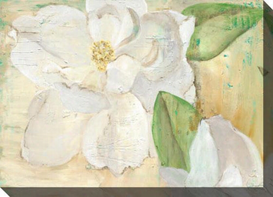 Magnolias On Yellow Canvas Wall Rt - 48""hx35""w, White