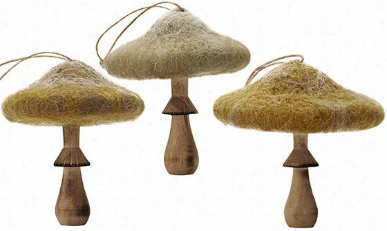 Martha Stewart Living Mu Shroom Ornaments - Set Of 3 - Set Of Three, Ivory