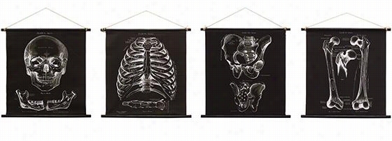 Martha Stewart Living Skeleton Wall Banners - Sett  Of 4 - Set Of 4, Black