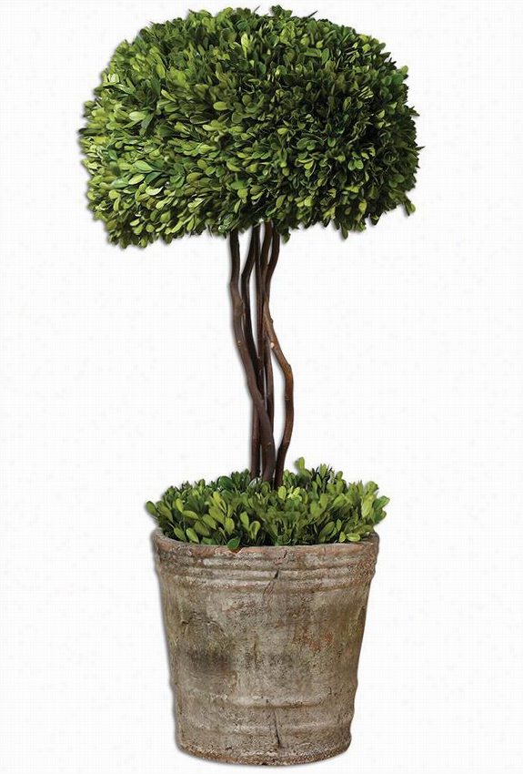 Preserve Boxwood Tree Topiary - 33""hx14""diameter, Mossy Stone