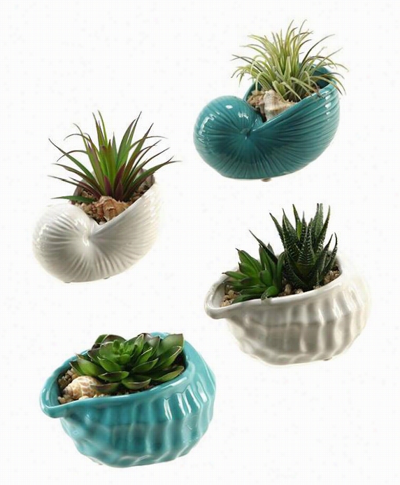 Shells With Succulents - Write Of 4 - Set Of 4, White/turquoise