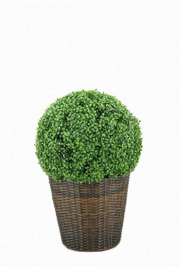 Boxwood Ball In Wicker Basket - 30""hx19""diamete, Brown