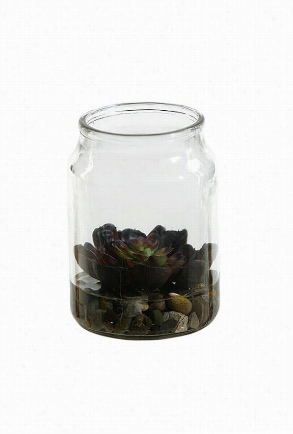 Echeveeria In Glass Jar - 5.5""hx4""wx4""d, Green
