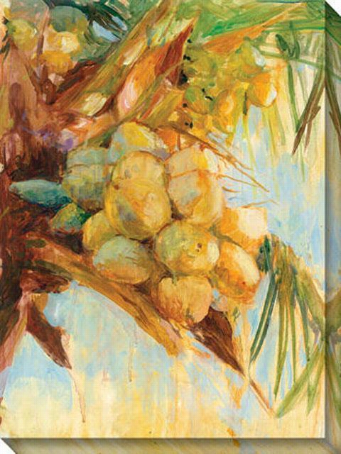 Goleen Coconuts Canvas Wall Art - 36""hx48""w, Yellow