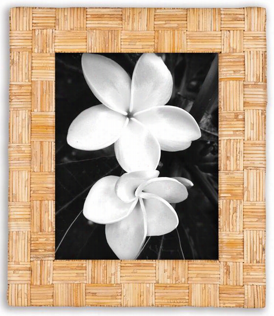 Kon Tiki Picture Frame - 8x110 Frame, Ivory