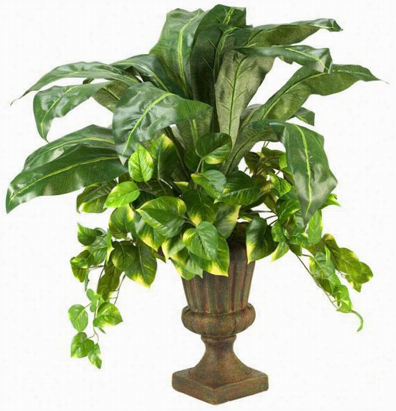 Pothos Annd Birdnest In Urn - 32""hx20"&uqot;w, Green