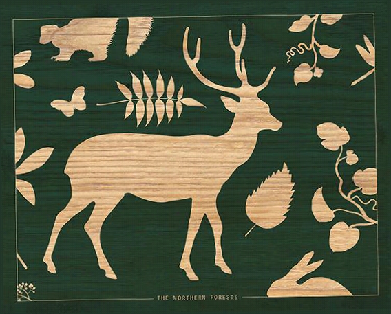 The Northern Forests Wall Art - I, Grreen