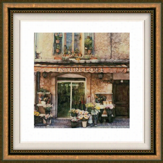 Vence Flleurs Framed Wall Art - 23""hx32& Quot;"w, Floated Gold