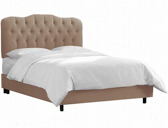 Wembley Upholstered Bed - Queen, Velvet Cocoa