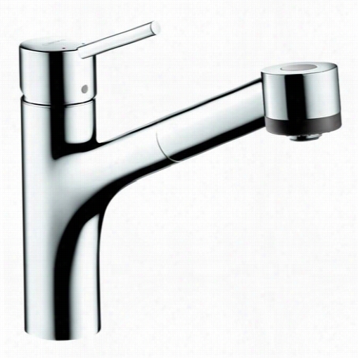 Hansgrohe 06462 Talis S Single Hoole Kitchen Faucet Lowflow