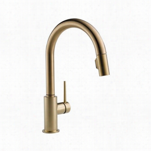 Delta 9159-cz-dst Trinsic Single Handle Pull Down  Kitche N Faucet In Champagne Bronze