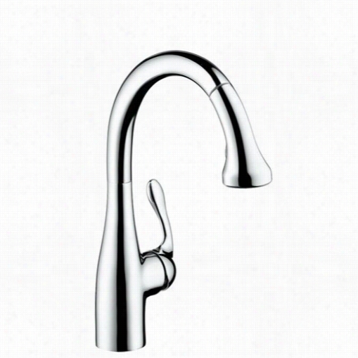 Hasgrohe 04066 Allegro E Gourmet Kitchen Faucet Low F Low