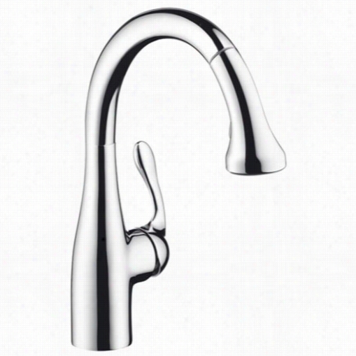 Hansgrohe 04297 Allegro E Singgle Handle Prep Kitchen Faucet