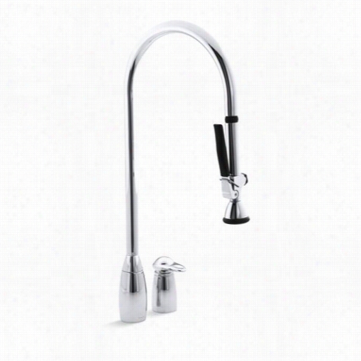 Kohler K-7330 Promaster Kitchen Faucet