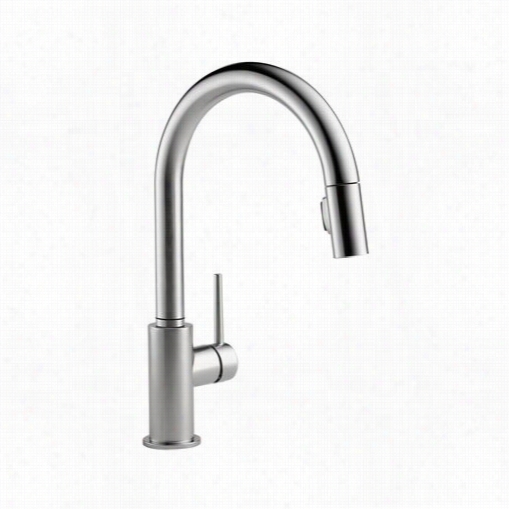 Delta 9 159-ar-dst Trinsic Single Handle Pull Down Kitchen Faucet Inn Northern Stainless