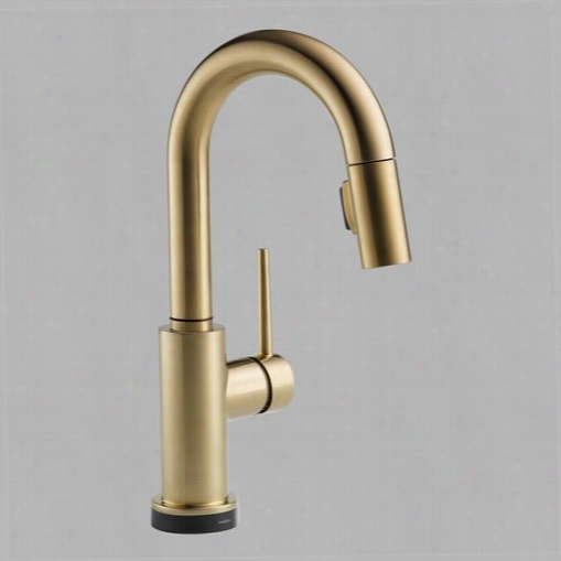 Delta 9959t-cz-dst Trinsic Single Handle Pull Down Bar/prep Faucet In The Opinion Of Touch2o Technology In Champagne Bronze