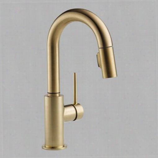 Delta 9959-cz-dst Trinic Single Handle Pull Down Bar/prep Faucet In Champagne Bomze