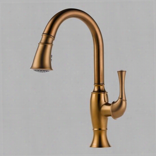 Brizo 63003lf-bz Talo Single Handle Pul Down Ktchen Faucet In Brushed Brown Brilliance