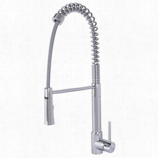Vig Ovg02022ch Laurelton Pull-out Spray Kitchen Faucet