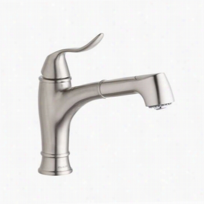 Elkay Lkec1042nk Echo Pull Out Bar Faucet In Brushed Nikel