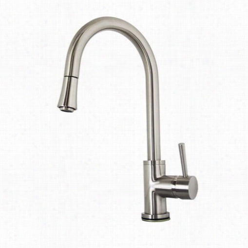 Virtu Usa Ppsk-10003 Sedna Kitchen Faucet