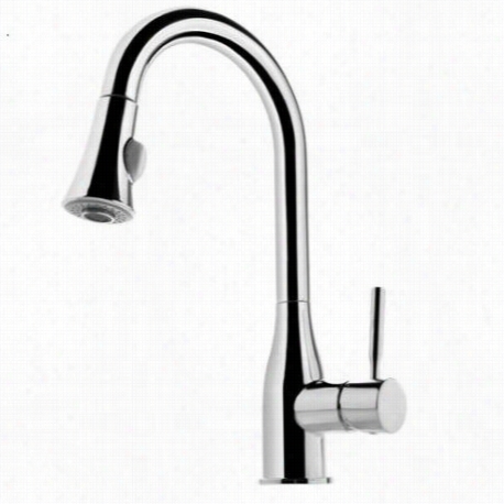 Fluid F821 Palm Pull Down Kitchen Faucet