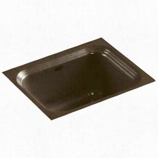 Kohler K-6589- Nortjland Undemrount Single Basin Cast Iron Bar Sink