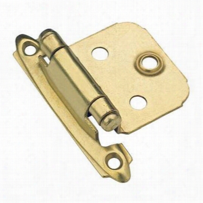 Amerock Cm7139-3 Polished Brass Overlay Self Closing Hinge