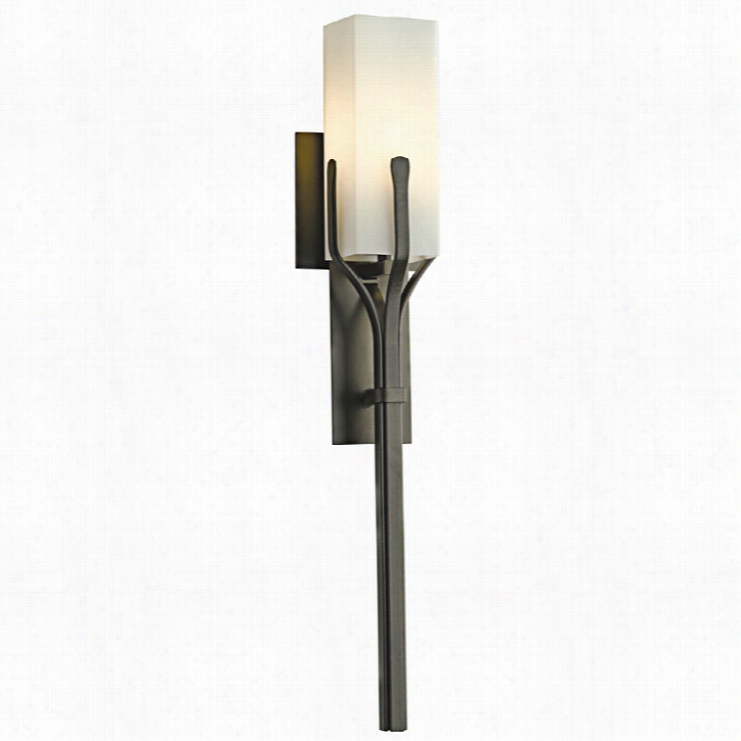 Contemporary Mediki Dark Suffer Wall Sconce