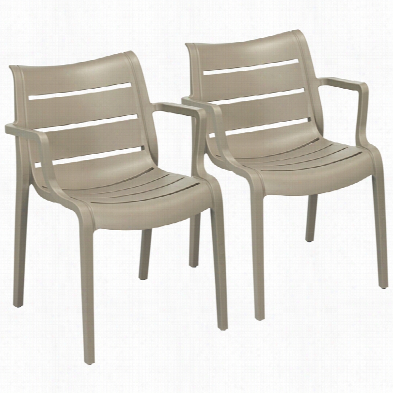 Cotemporary Nero Dove Gray Indoor/exterior Set Of 2 Armchairs