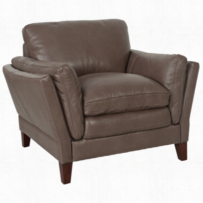 Transitional Majestic Orcnii Leather 46-inch-w Armchair