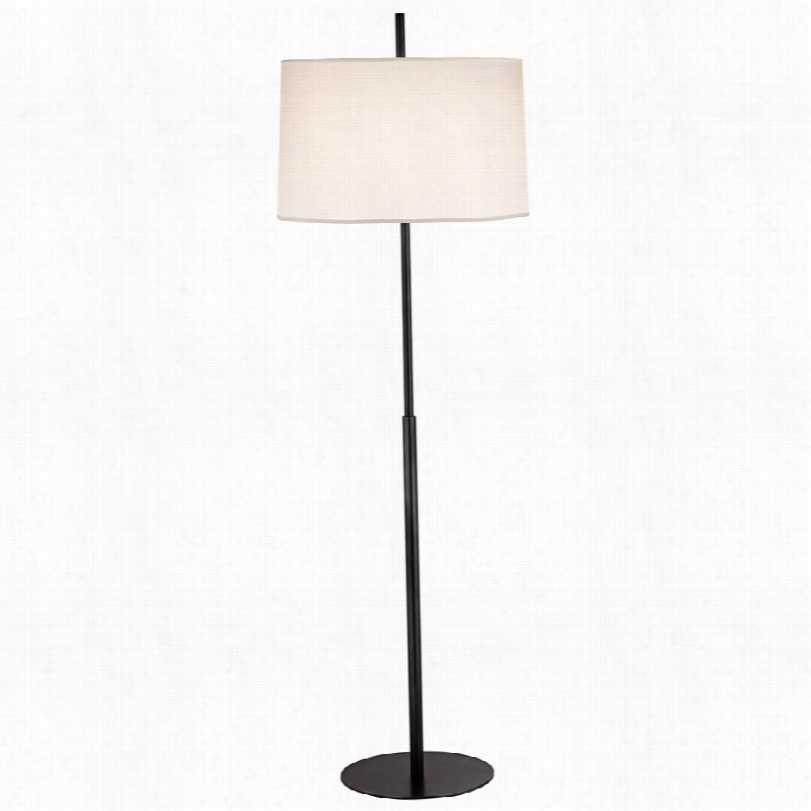 Contemporary Echo Paatinab Ronze 63 3/4-inch-h Robert Abbey Floor Lamp