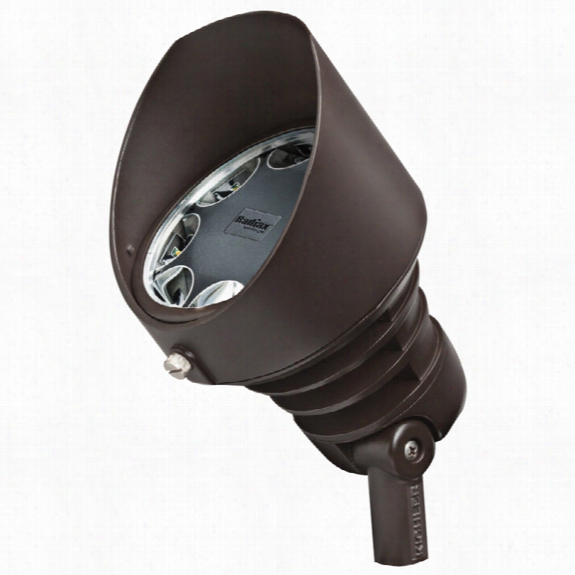 Cntemporary Radiax Energy Efficient Ricch Bronze Led Kichler Flood Light