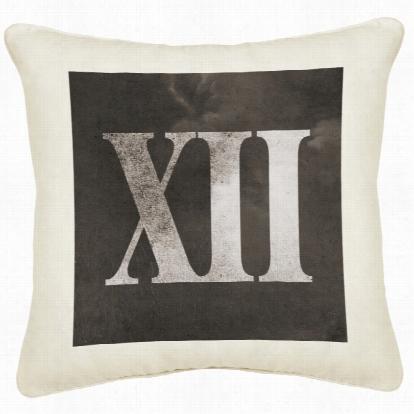 Contemporary Xii Cream Canvas Pillow