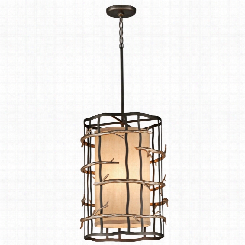 Contemporary Adirondack Graphite And Silvr Chandelier