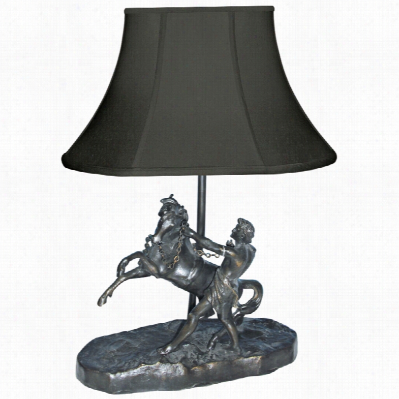 Contempoarry Ancient Cavalite Bla Ck Shade Bronze Metql  Table Lamp