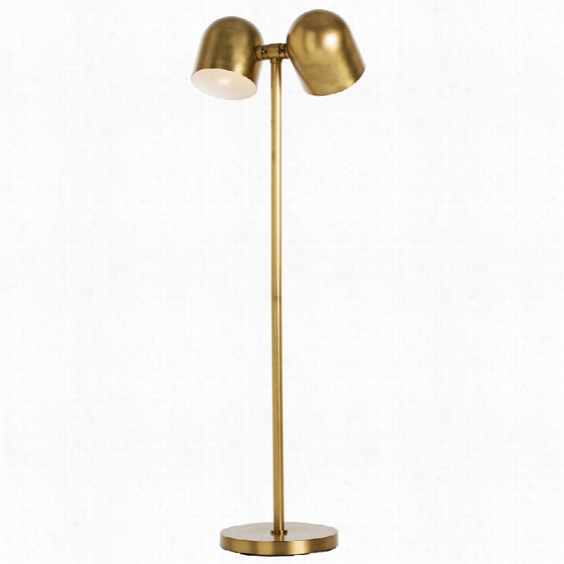 Contemporary Arteriors Home Jacoby Ancient Rarity Brass 2-light Floor Lamp