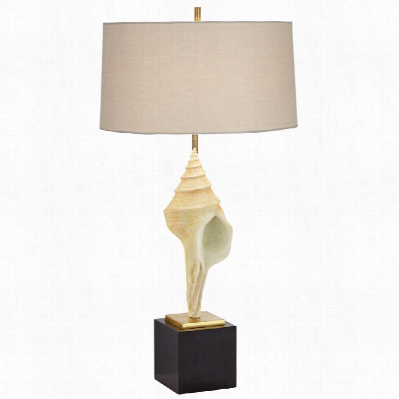 Contemoprary Kathy Ireland Hilo Natural She Ll Table Lamp