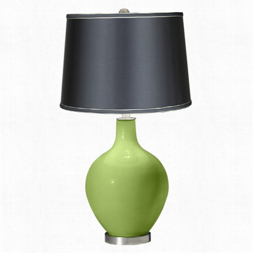 Contemporary Lime Rick Ey With Ark Gray Shade Color Plus Ovo Table Lamp