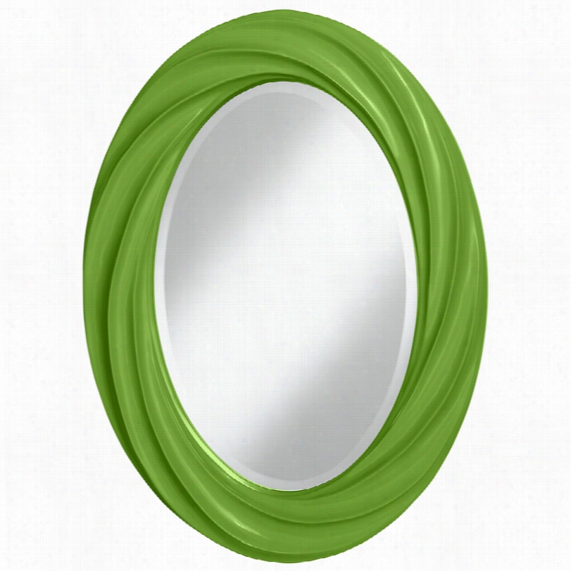 Contemporary Complexion Plus Rosemar Y Green Twist Oval Wall Mirror-22x30