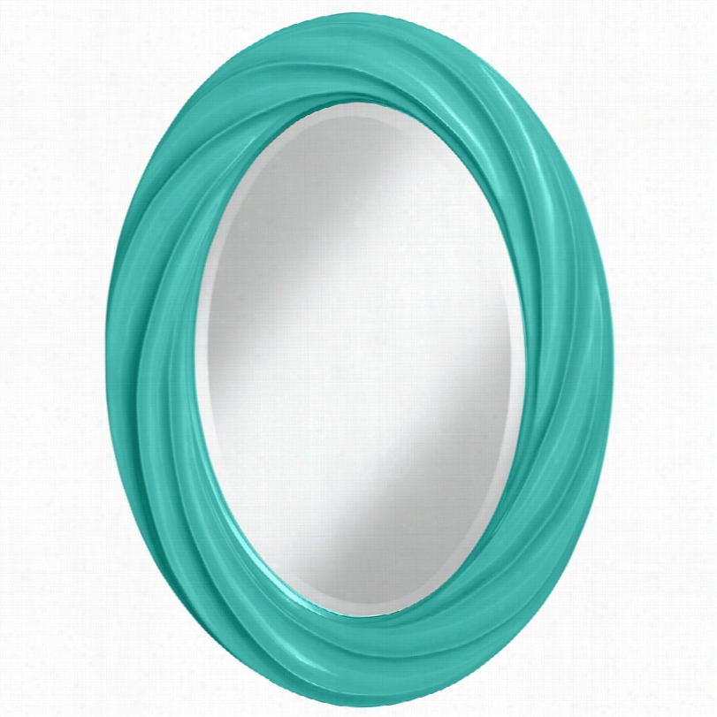 Contemporzry Color Plus Synergy Twist Oval Wall Mirror-22x30