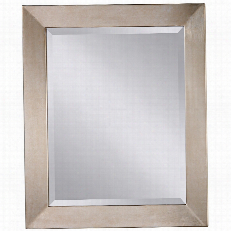 Contemporary Fe Isss Galaxy Rectangular Wall Mirror-28x33 3/4