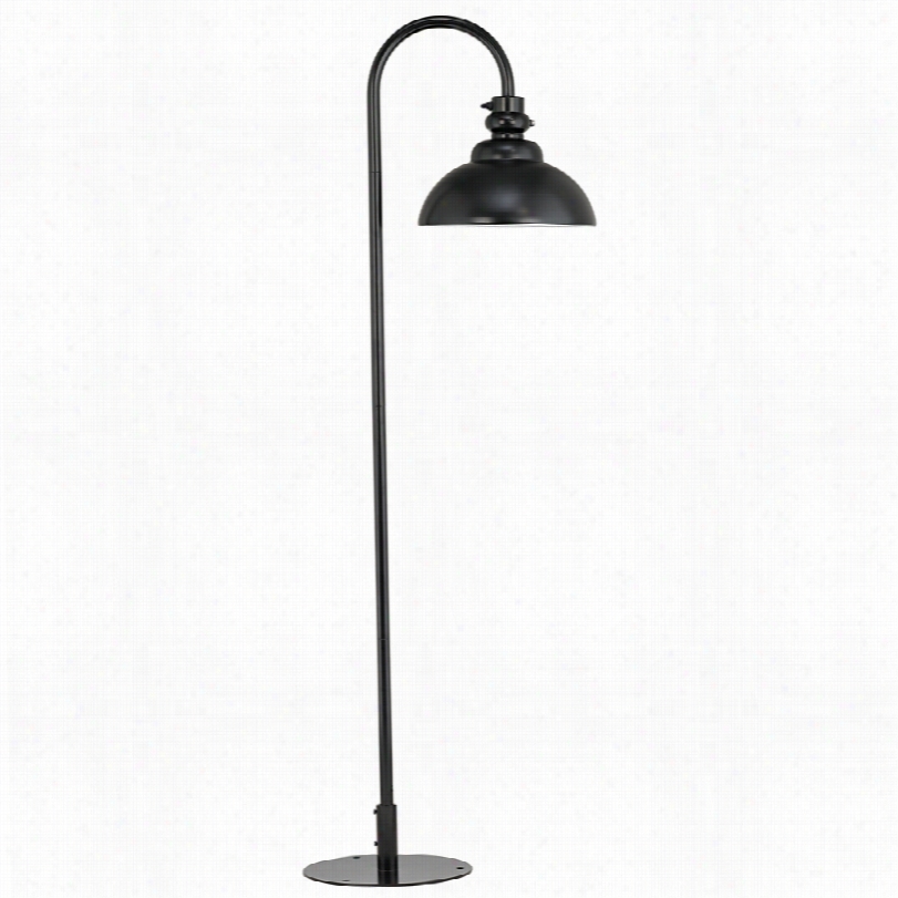Contempdary Portable Plug-in Black 68-inch-h Landscape Light