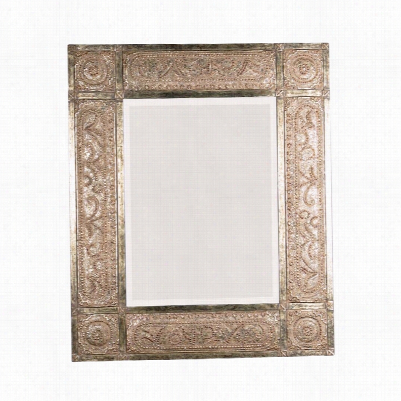 Transitional Uttermost Harvest Serenity Champagne Wall Mirror-50x60