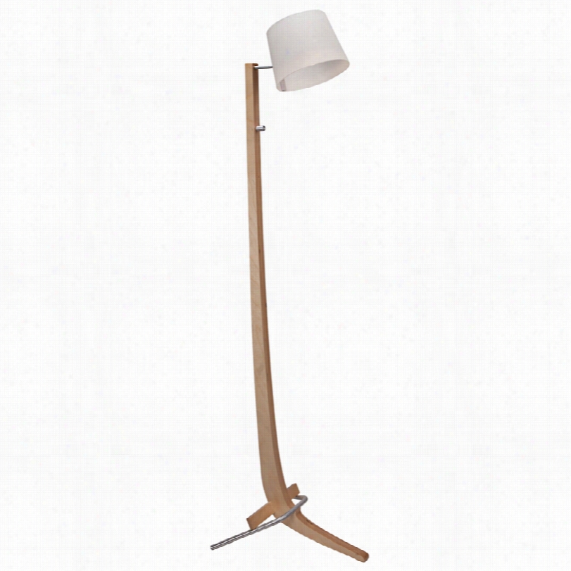 Conetmporary Cerno Sivla Balt Ic Birch 52-inch-h Floor Lamp