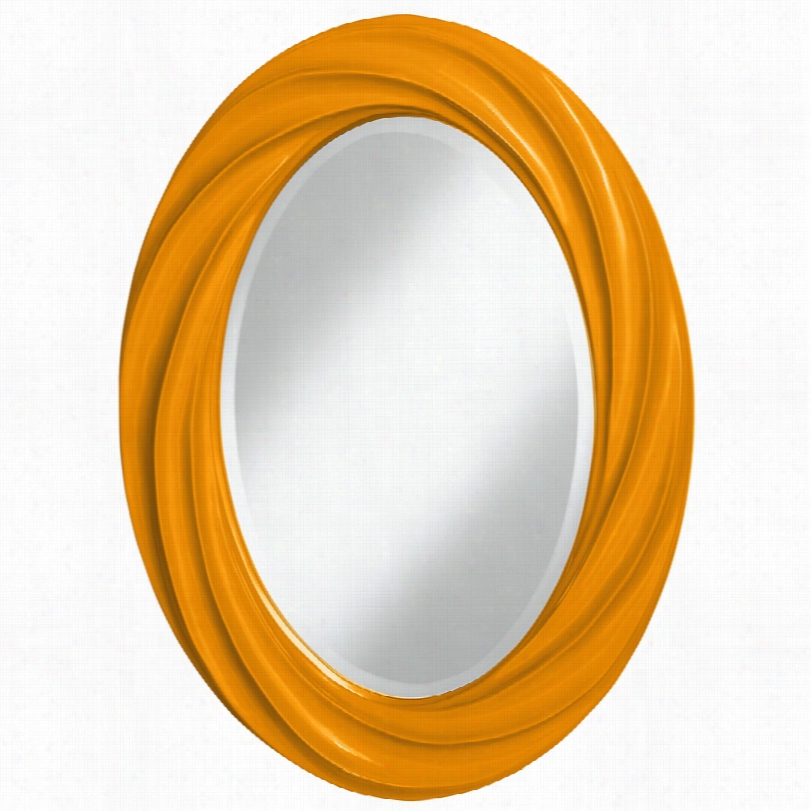 Conteemporary Color Plus Mango Twist Oval Wall Mirror-22x30