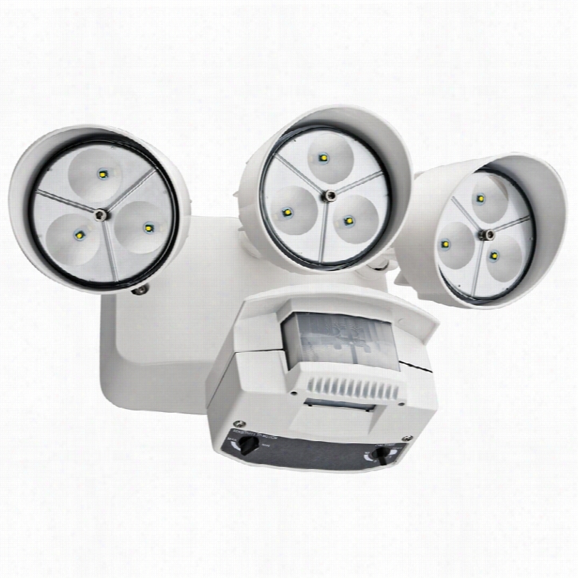 Contemporaryl Ithonia White Energyefficient Motion Sensor Led Floodlight